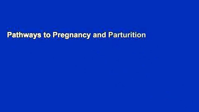 Pathways to pregnancy and parturition pdf