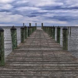 Chesapeake bay tnc nature boat