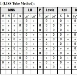 Antibody cannot identify ruled