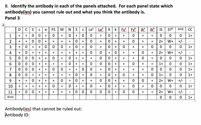 Antibody panel practice with answers