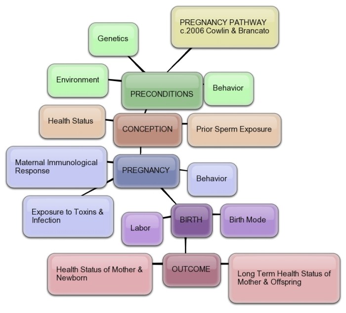 Pathways to pregnancy and parturition pdf