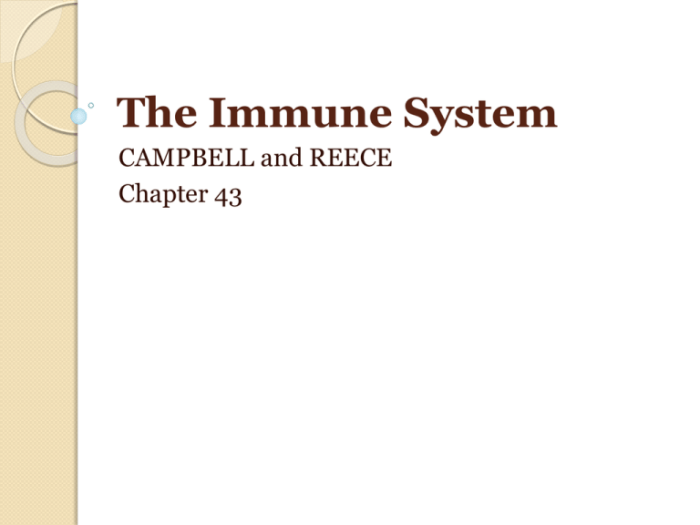 Immune adaptive vaccines humoral